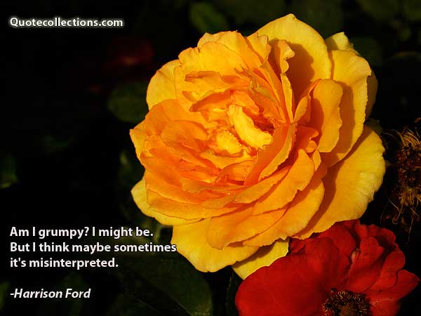 Harrison Ford Quotes4
